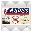 Hava's印刷正标