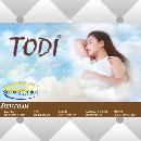 TODI-印刷正标