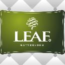 LEAF-印刷正标